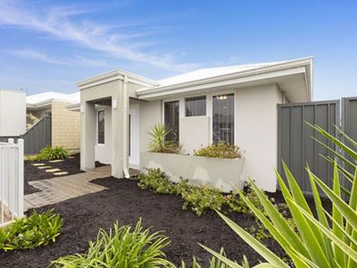 7 Hybrid Green, Banksia Grove WA 6031