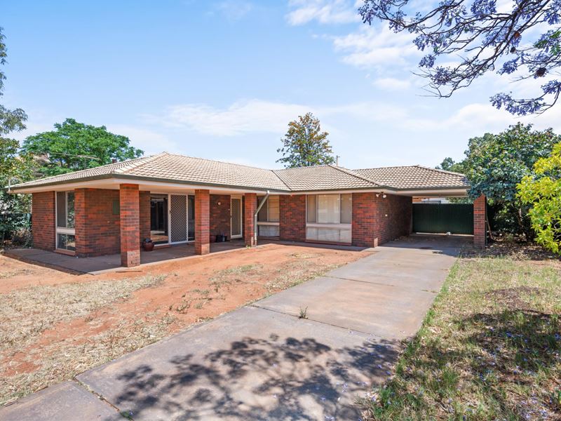 48 Hare Street, Lamington