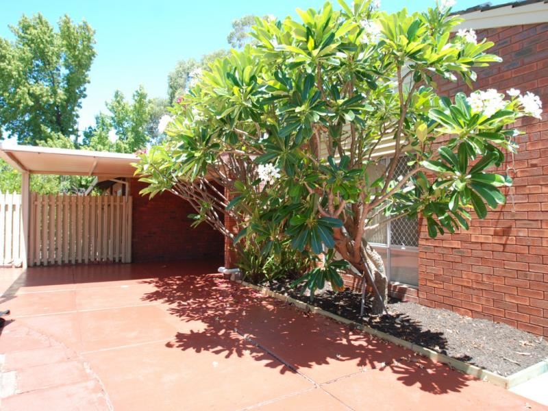 2B Bursaria Crescent, Ferndale