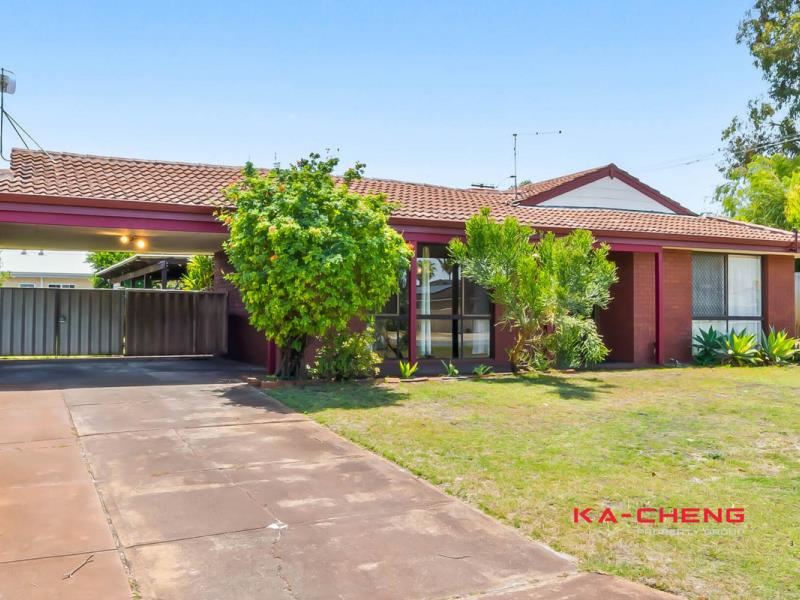 18 Spruce Road, Morley WA 6062