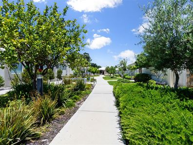 20 Belfry Road, Gnangara WA 6077