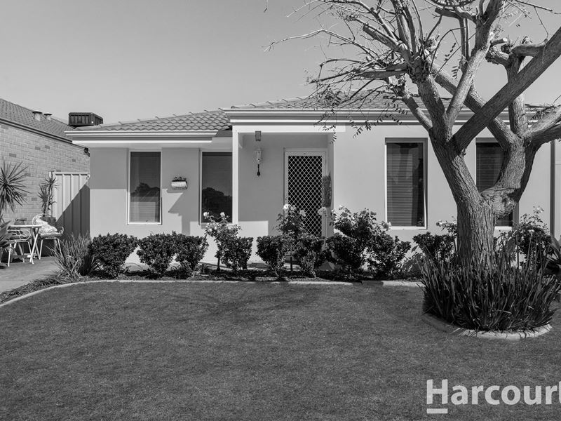 6 Conebush Circle, Falcon WA 6210