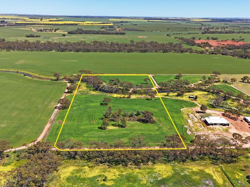 70 Halligan Street, Moora WA 6510