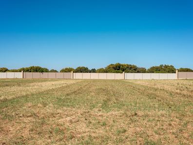 33 Eurithmic Link, Wandina WA 6530