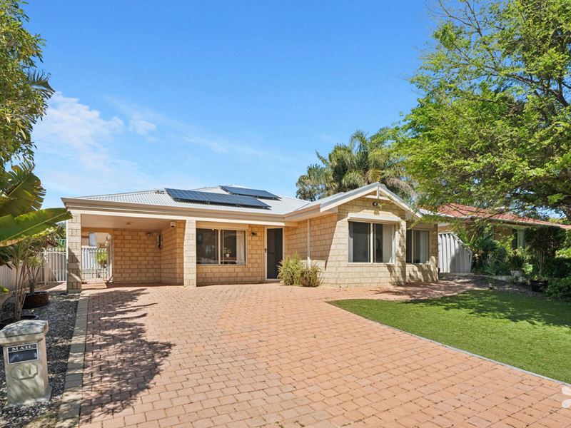 11 Silvereye Court, Beeliar