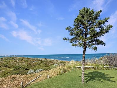 17 Grey Close, Dongara WA 6525