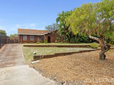 16 Farmfield Way, Morley WA 6062