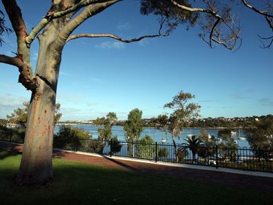 290B Preston Point Road, Bicton WA 6157