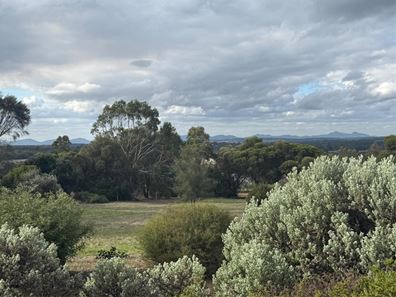 123 Braidwood Road, Mount Barker WA 6324