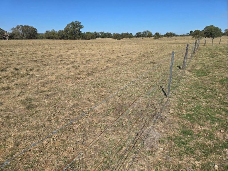 73 Strachan Road, Bullsbrook