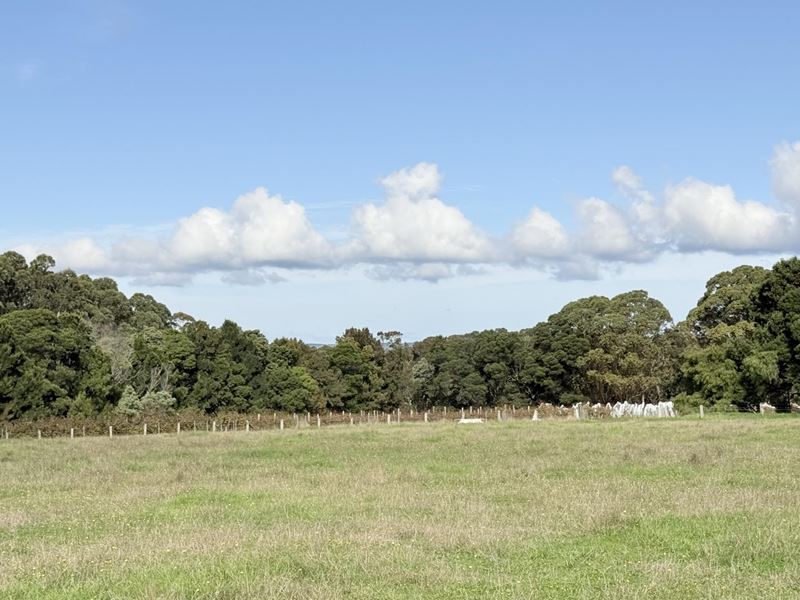 Lot 102, 238 Link Road, Marbelup