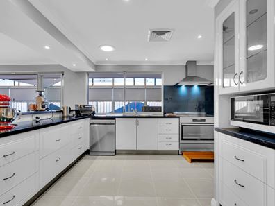 17 Leake St, Ascot WA 6104