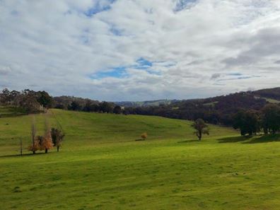 Charley Creek Road, Donnybrook WA 6239