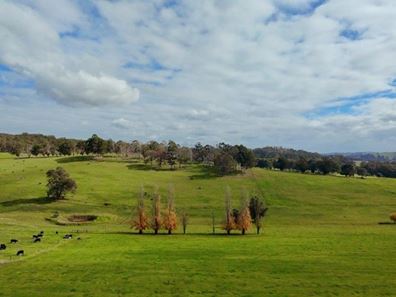 Charley Creek Road, Donnybrook WA 6239