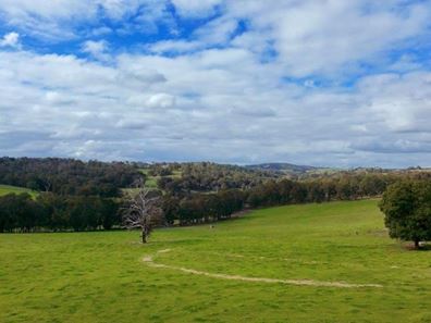 Charley Creek Road, Donnybrook WA 6239