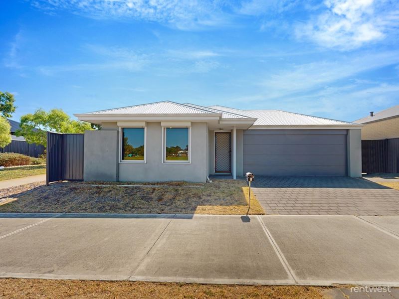 8 Butterleaf Road, Baldivis WA 6171