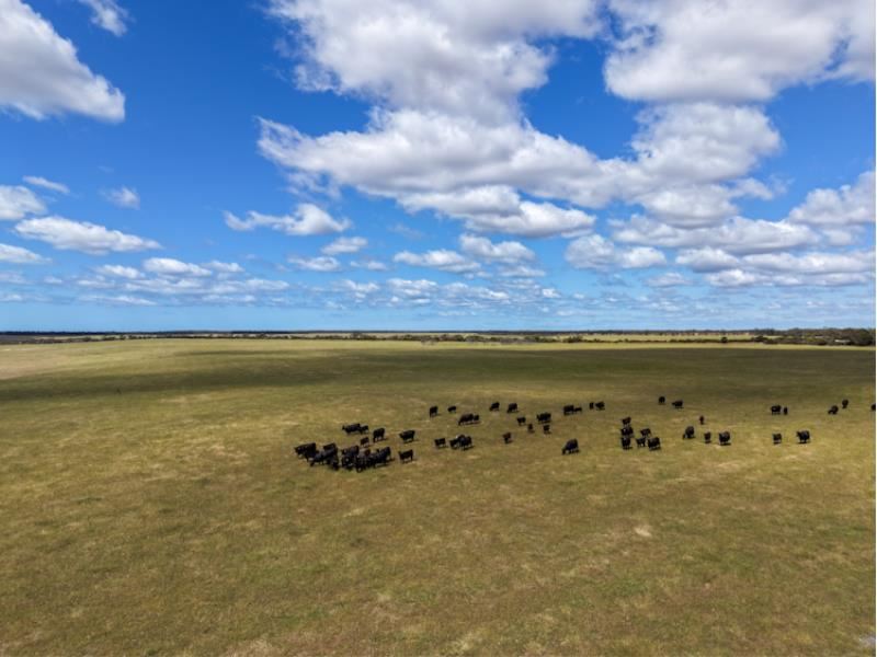 282 Devils Creek South Road, Bremer Bay
