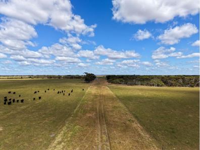 282 Devils Creek South Road, Bremer Bay WA 6338