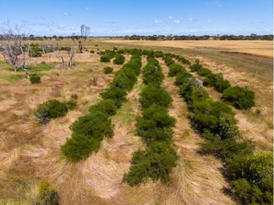 282 Devils Creek South Road, Bremer Bay WA 6338