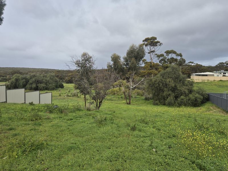 76 Spence Street, Ravensthorpe WA 6346
