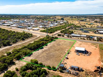 21 Moloney Street, Utakarra WA 6530