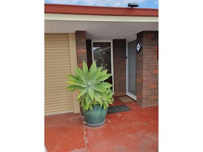 17 Musca Close, Rockingham WA 6168