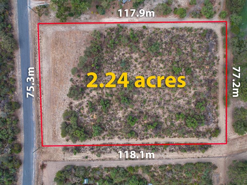 361 Woolly Bush Loop, Woodridge