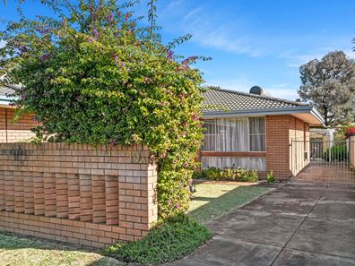 19A Fairfield Street, Mount Hawthorn WA 6016