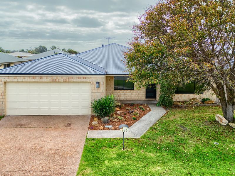 19 Moon Parade, Mckail