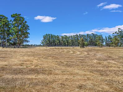 Hasluck Circuit, North Dandalup WA 6207