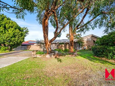 93 Aulberry Parade, Leeming WA 6149