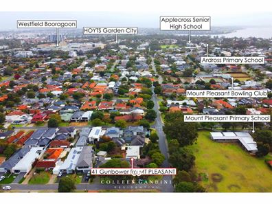 41 Gunbower Road, Mount Pleasant WA 6153