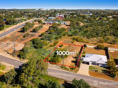 123 Wannerenooka Road, Northampton WA 6535