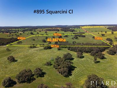 900 Squarcini Close, Bailup WA 6082