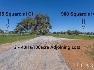 900 Squarcini Close, Bailup WA 6082