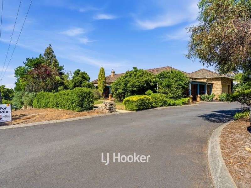 305 Steere Street North, Collie
