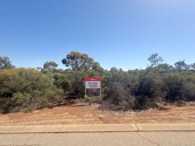 4 Shields Crescent, Wongan Hills WA 6603