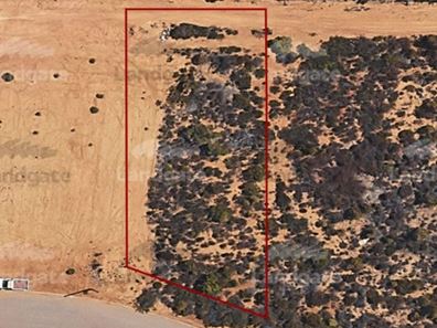 4 Shields Crescent, Wongan Hills WA 6603
