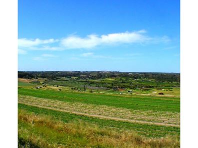 2060 Wanneroo Road, Neerabup WA 6031