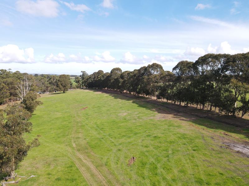 Lot 128, 238 Link Road, Marbelup WA 6330