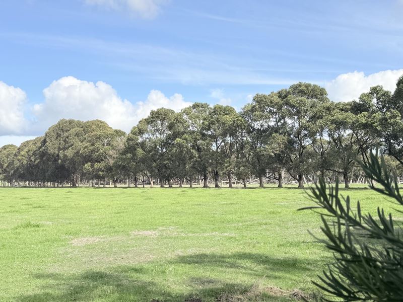 Lot 121, 238 Link Road, Marbelup