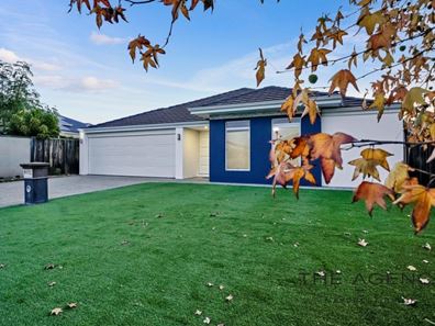 3 Bluebird Street, Wellard WA 6170