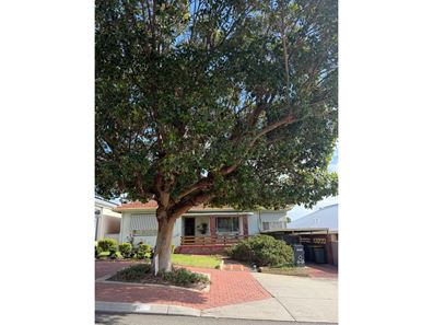 17 Auborough Street, Doubleview WA 6018
