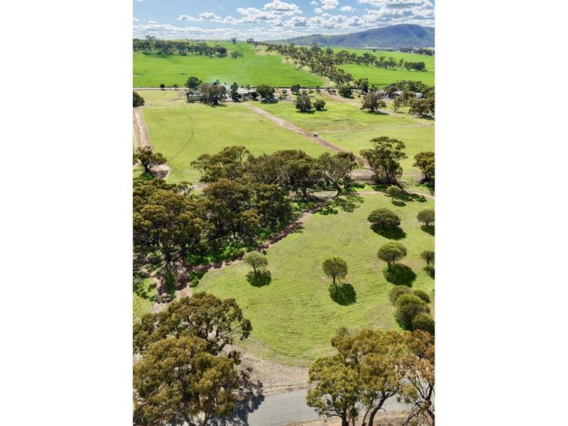 Lot 803 Trews Road, Daliak