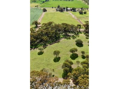 Lot 803 Trews Road, Daliak WA 6302