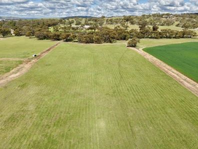 Lot 803 Trews Road, Daliak WA 6302