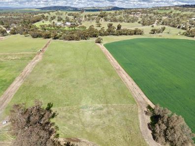 Lot 803 Trews Road, Daliak WA 6302