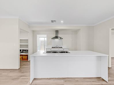 81 Elegant Road, Banksia Grove WA 6031