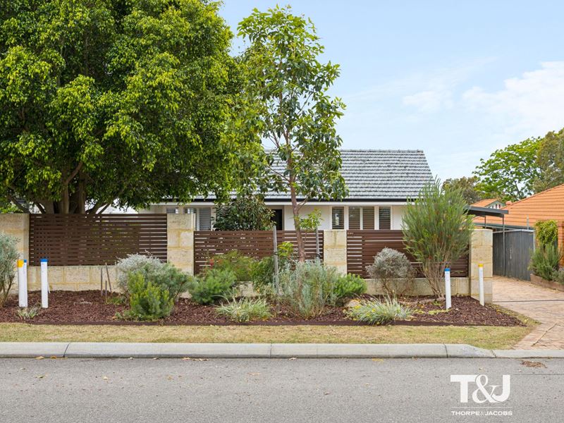 176 Wilding Street, Doubleview WA 6018