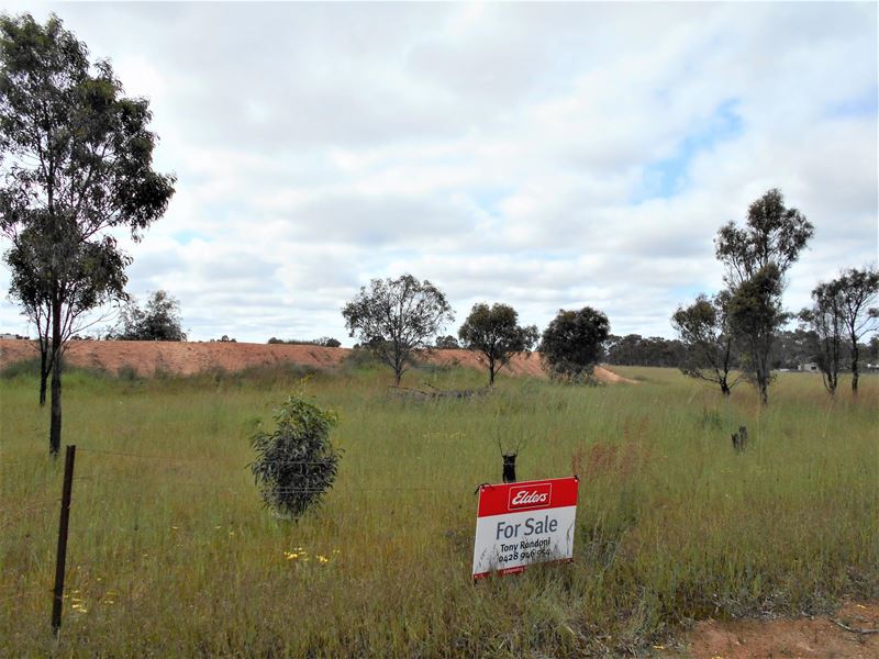 Lot 432 Nelson Road, Broomehill Village